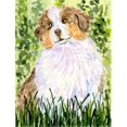 thumbnail image 1 of Carolines Treasures SS8844GF 11 x 15 In. Australian Shepherd Flag- Garden Size, 1 of 3