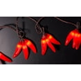 thumbnail image 2 of Set of 36 Red Chili Pepper Cluster Summer Garden Patio Christmas Lights - 7 ft Brown Wire, 2 of 2