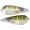 Blue Gill, variant on River2Sea Worldwide Spoon 125