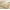 1-Light Brown, variant on OldPAPA Fluffy Rugs for Living Room, Washable Rugs, 3x5 Area Shag Rugs for Bedroom, Girls Boys Room Decor,Upgrade Anti-Skid Small Carpet for Home Decor Aesthetic, Rainbow Color