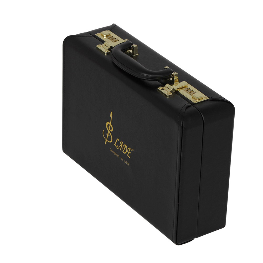 SLADE Thicken Sotrage Bag Box Case with Handle Strap