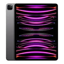 Restored Apple iPad Pro 11