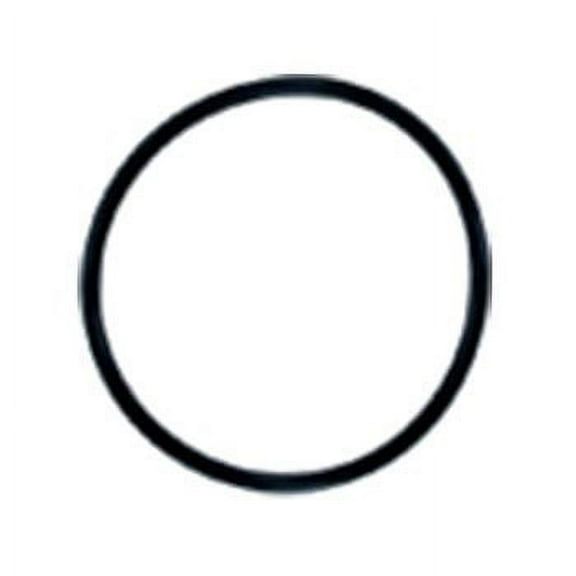 O-Ring for Watts Flowmatic 4500 & 8000 Filter Housings EPDM