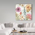thumbnail image 3 of Trademark Fine Art 'Rainbow Seeds Flowers III' Canvas Art by Lisa Audit, 3 of 3