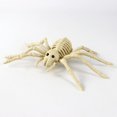 thumbnail image 1 of Esqueletos De Animales De Halloween Colas Flexibles Y Mandíbulas Móviles-Decoraciones De Jardín A Prueba De Intemperie Perfectas Para Uso En Interiores/Exteriores, 1 of 4