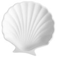 thumbnail image 1 of 1Pack Minimalist White Shell Shape Jewelry Tray For Photography And Display, 1 of 3