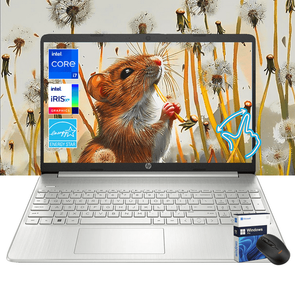 HP 15.6" FHD Touchscreen Laptop | 12th Gen Intel i7-1255U (10-Core, up to 4.7GHz) | 16GB RAM | 512GB SSD | Iris Xe Graphics | Win 11 Pro | Long Battery | Natural Silver | W/Mouse