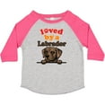 thumbnail image 3 of Inktastic Labrador Retriever Dog Gift Boys or Girls Toddler T-Shirt, 3 of 5