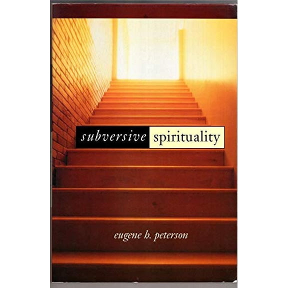 Pre-Owned Subversive Spirituality (Paperback) 1573830712 9781573830713