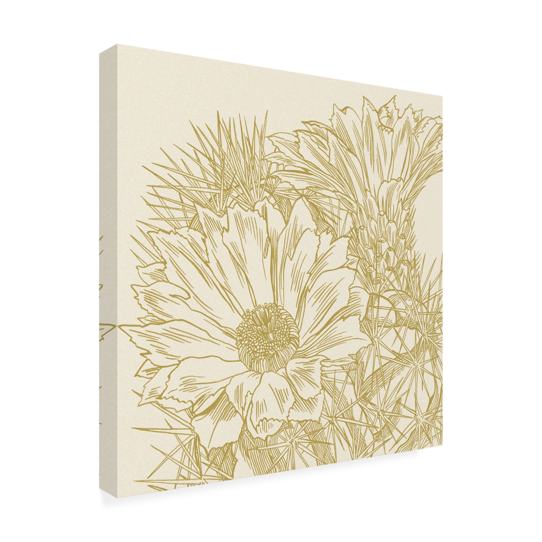 Canvas Wall Art - Melissa Wang 'Graphic Cactus Bloom I' Wall Art for Living Room, Bedroom, or Office Décor by Trademark Fine Art - 14 x 14 Inches
