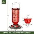 thumbnail image 3 of Kingsyard Glass Hummingbird Feeder for Outdoor Hanging, 24 Ounces Nectar, Ant Moat Included, Red, 3 of 9