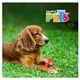 thumbnail image 4 of Juguete para Perro Fancy Pets Matatena con Sonido 1 Pza, 4 of 4