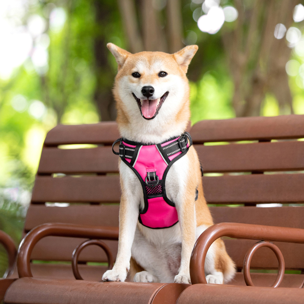 PoyPet No Pull Dog Harness, Pink, Medium photo 5