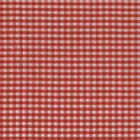 Springs Creative Springmd Check Fabric