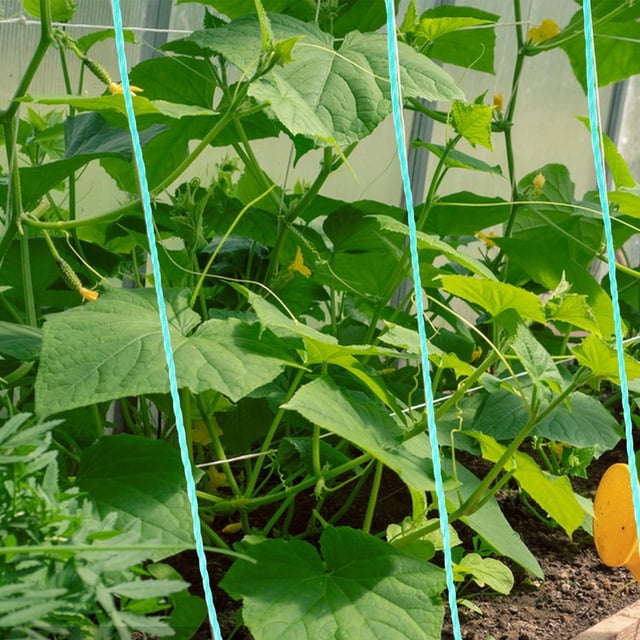 unbranded Para Trepar Plantas Resistente Al Desgaste Y Al Ambiente Exterior