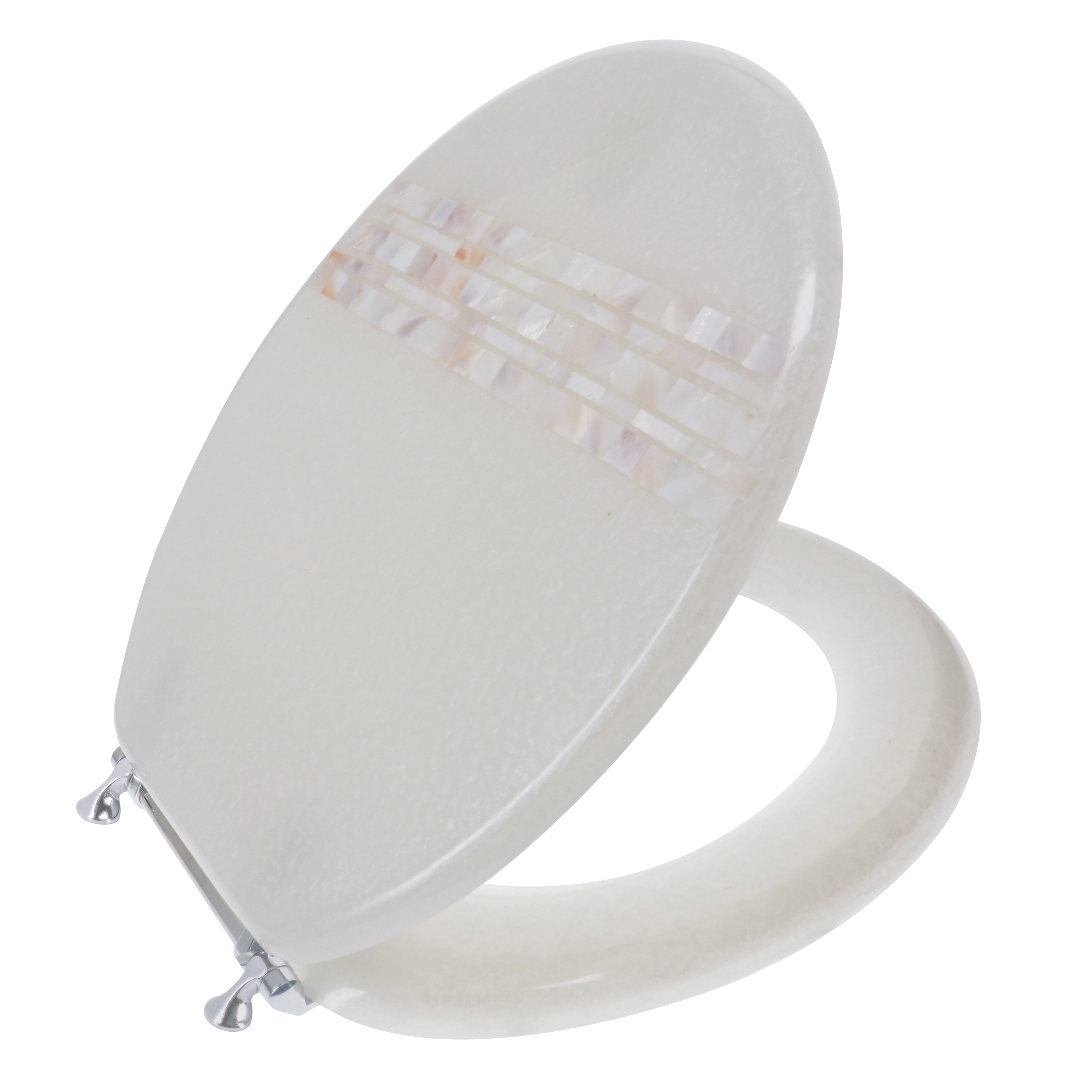 Ginsey Elongated Resin Decorative Toilet Seat with Chrome Hinges