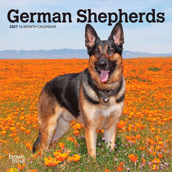 German Shepherds | 2027 7x14" (Hanging) Wall Calendar