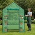 thumbnail image 3 of Ktaxon Mini Walk-in Greenhouse with PE Cover, 4-Shelf Indoor Outdoor Plant House for Garden Backyard, 56"x29"x77", Green, 3 of 9