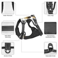 thumbnail image 6 of Lsque Honey Bee Insect Dog Harness, No-Pull Pet Harness with 2 Leash Clips, Adjustable Soft Padded Dog Vest with Easy Control Handle for Large Dogs-Large, 6 of 9