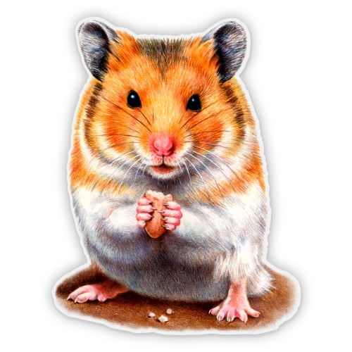Hamster - 3" Vinyl Sticker - For Car Laptop Water Bottle Phone - Waterproof Decal