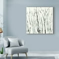 thumbnail image 3 of Trademark Fine Art 'Birches I' Canvas Art by Sharon Gordon, 3 of 4