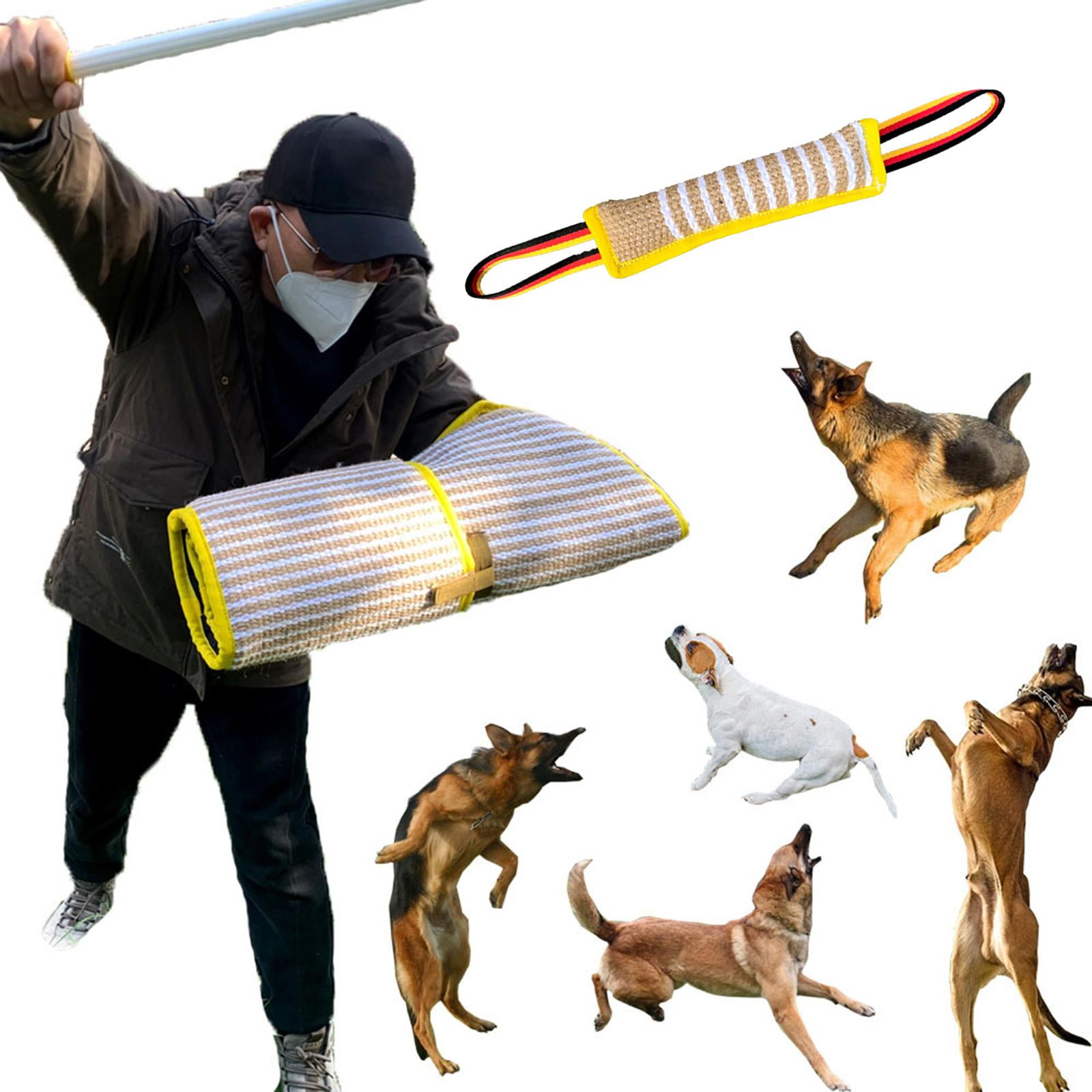 Dog bite training equipment hotsell