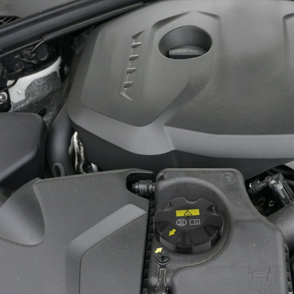 KALLORY Radiator Expansion Tank Cap Black Coolant Reservoir Cover Replacement for IBC Tank Cooling System