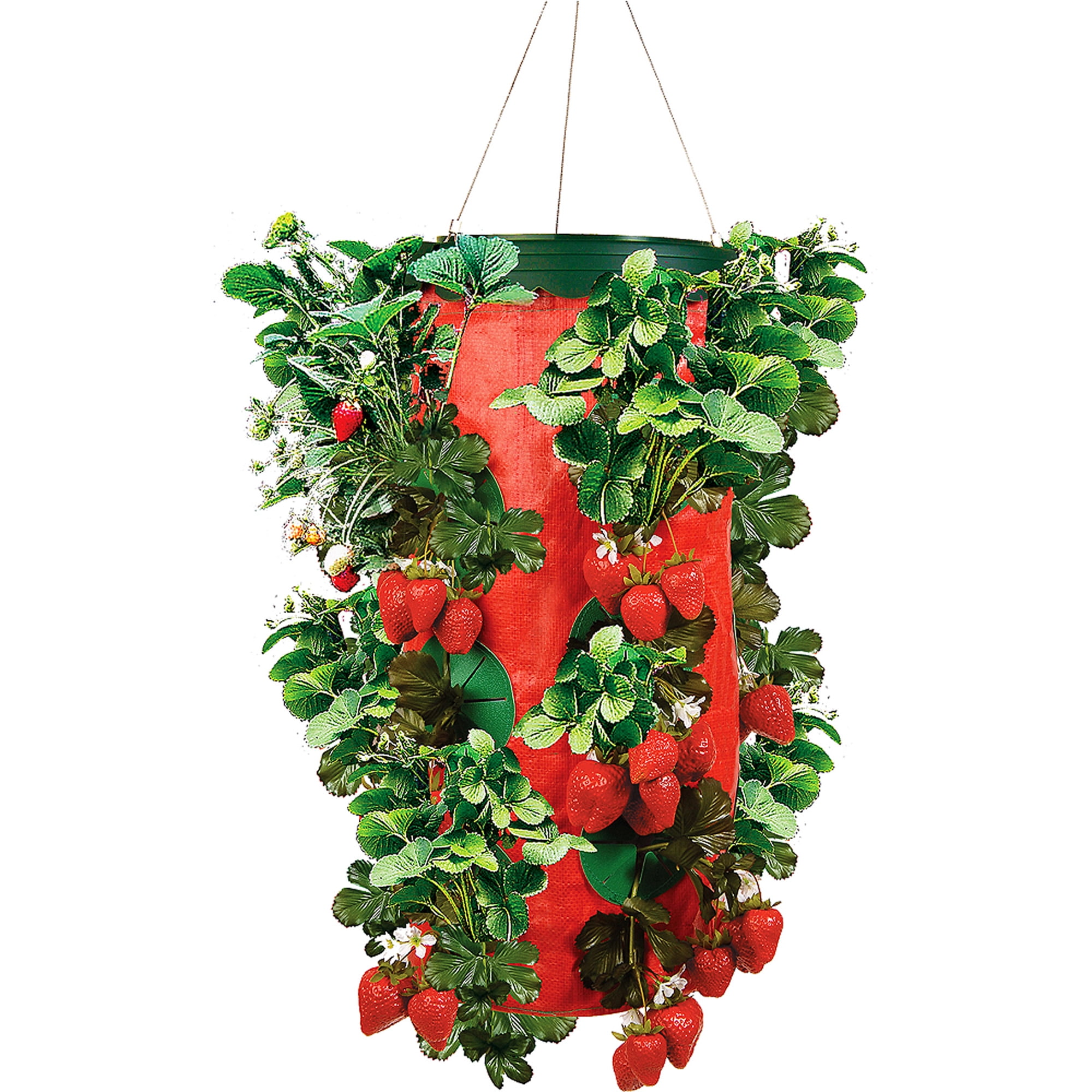 Pack of 3 Topsy Turvy STRAWBERRY HANGING PLANTER Upside Down Swivel Top 