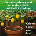thumbnail image 6 of Down to Earth Organic Citrus Fertilizer Mix 6-3-3, 1 lb, 6 of 8