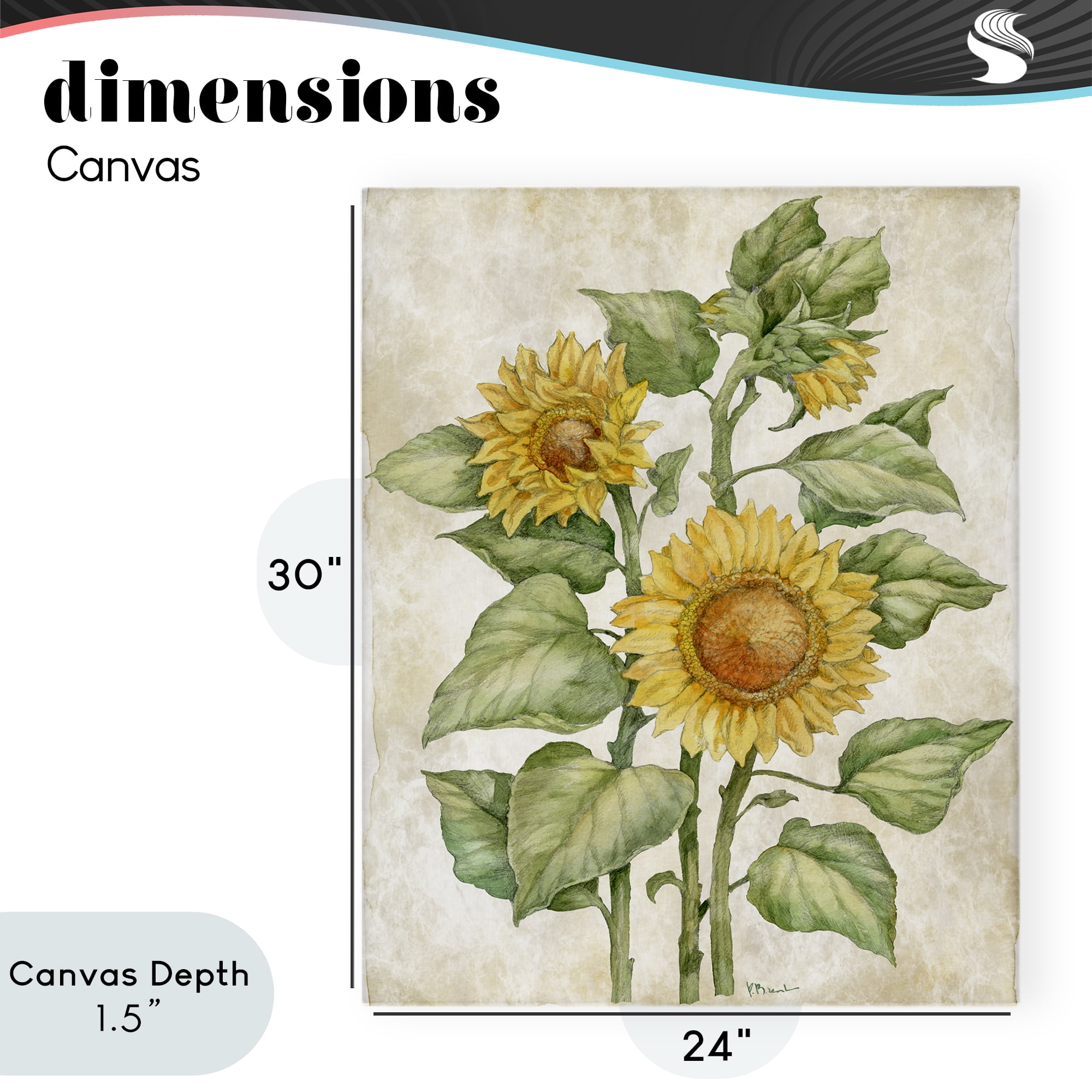 Stupell Industries Floral Journal Sunflower Canvas Wall Art, design by Paul Brent