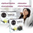 thumbnail image 4 of Vanilla Incense Cones - Total 20 Cone Incense - Dual Pack of 10 Insence Cones - Incense Cones Scented - Cone Incense Scents - Insense Cones - Incent Cone, 4 of 10