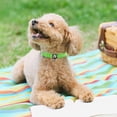 thumbnail image 4 of Reflective Dog Collar,Soft Neoprene Padded Pet Collar with ID Tag Ring,Adjustable for Small Dogs, 4 of 5