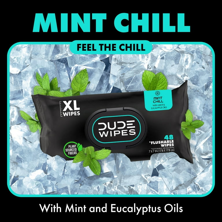 DUDE Flushable Wipes for Men, Mint Chill, 48 Count