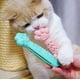 thumbnail image 4 of Juguete para gatos con menta, cepillo de dientes para gatos, rascador, masajeador, limpieza y mordedura, 4 of 6