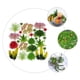 thumbnail image 4 of 24 plantas suculentas artificiales decorativas para pared, 4 of 7