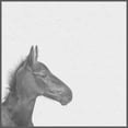 thumbnail image 2 of Black Horse IV Floater Framed Painting Print on Canvas, 2 of 4