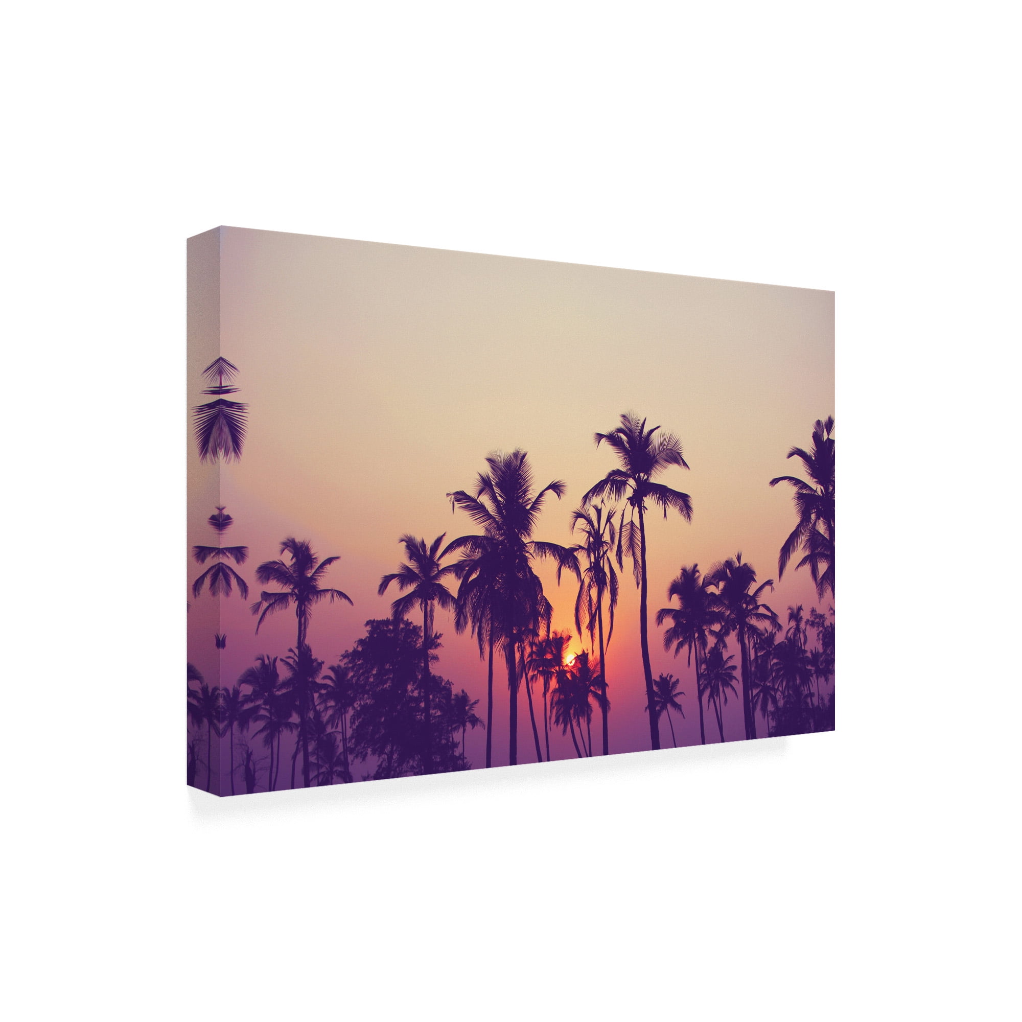 Trademark Fine Art 'Palm Sky 1 Fabrikken' Canvas Art by Design Fabrikken