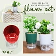 thumbnail image 2 of WozhuoToy Self Watering Planter - Modern Flower Pot for All House Plants, Flowers, Herbs, 2 of 7