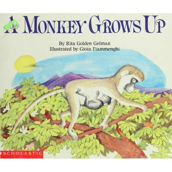 Pre-Owned Favorite Greek Myths (Paperback) 0590413392 9780590413398