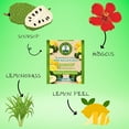 thumbnail image 3 of Dr. TEA Soursop Green Tea - Lemon Flavor -20 Tea Bags - Natural Wellness Cleanse Tea, 3 of 7