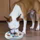 thumbnail image 2 of Juguete interactivo de rompecabezas de comida para perros oso de fresa dispensador de golosinas azul redondo, 2 of 6