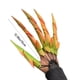 thumbnail image 2 of Halloween Mantis Mano Halloween Dedos De Plástico Realistas Accesorios Adecuados Para Mascarada Decoración De Fiesta Al Aire Libre Noticed HA046387-01, 2 of 6