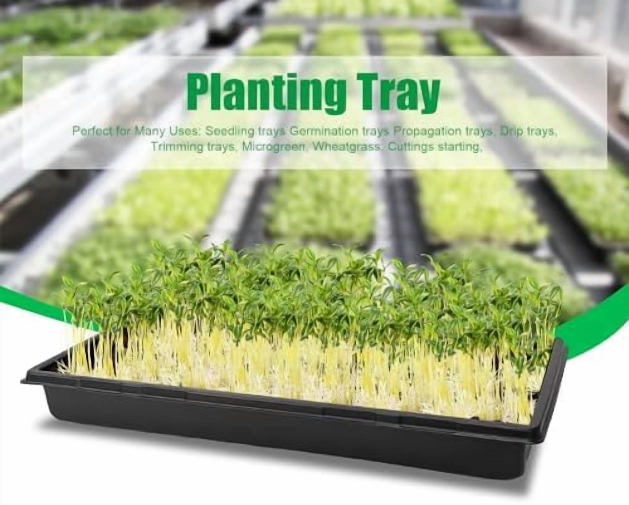 RibRave 10 Pack 1020 Trays, Extra Thick Heavy Duty Seed Starting Trays - No Holes, No Leak, Reusable Propagation Flats for Microgreens, Seedlings, Plant Germination, Fodder and Transplant