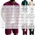 thumbnail image 2 of Gytharion 2 Piece Fashin Walffe Outfits for Men Stand Collar Short Sleeve Shirt with Drawstring Elastic Waist Shorts Sets Soild Color Casual Outfits, 2 of 4