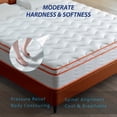 thumbnail image 5 of [Luckynote]King Mattress, 12 Inch Hybrid Mattress Euro Top Medium Firm for Back & Lumbar Support, 100 Night Trial, Individual Pocket Spring Mattresses for Motion Isolation & Pressure Relief, 5 of 9
