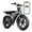 R004-15AH-Black(Walmart exclusive), variant on TST Electric Bike for Adults, 750W Peak 1500W Motor, 20"x4" Fat Tire, E Mountain Bike, 48V/15AH UL2849