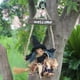 thumbnail image 1 of Adorno Colgante de Bruja para Puerta de Halloween | Decoración de Escoba de Bruja de Lino y Madera de 30 Cm | Colgante Vintage Espeluznante para Porche | Decoración para La Entrada de Una Fiesta de H, 1 of 6