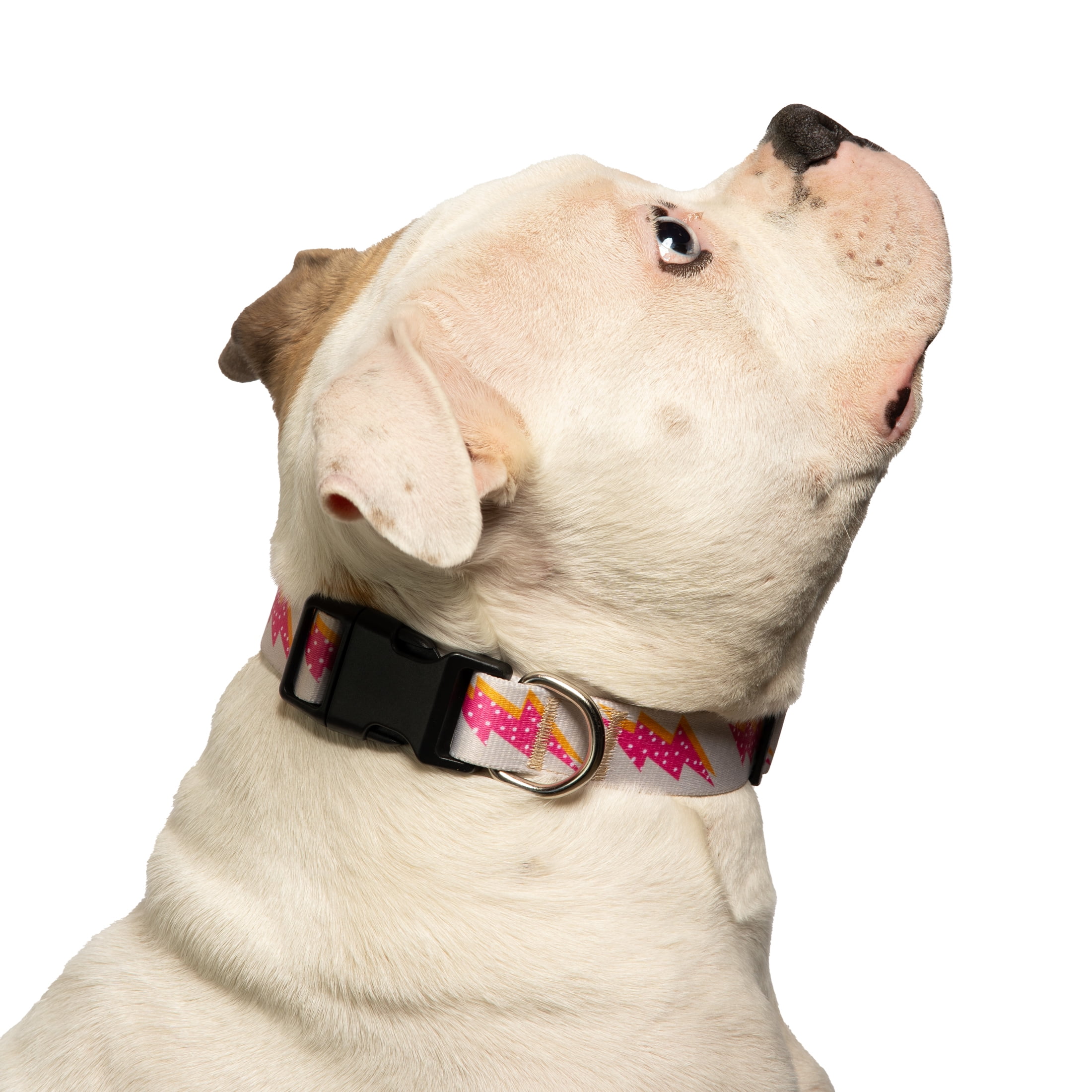 Vibrant Life Dog Collars, Lightning Bolt Fashion Pet Collar, Pink, Medium