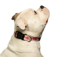 thumbnail image 6 of Vibrant Life Dog Collars, Lightning Bolt Fashion Pet Collar, Pink, Medium, 6 of 9