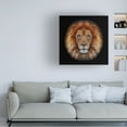 thumbnail image 3 of Ben Heine 'Lion Face Made Of Circles' Canvas Art, 3 of 3